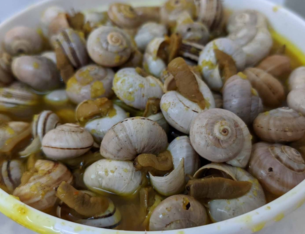 Logo de BAR MORON II CARACOLES